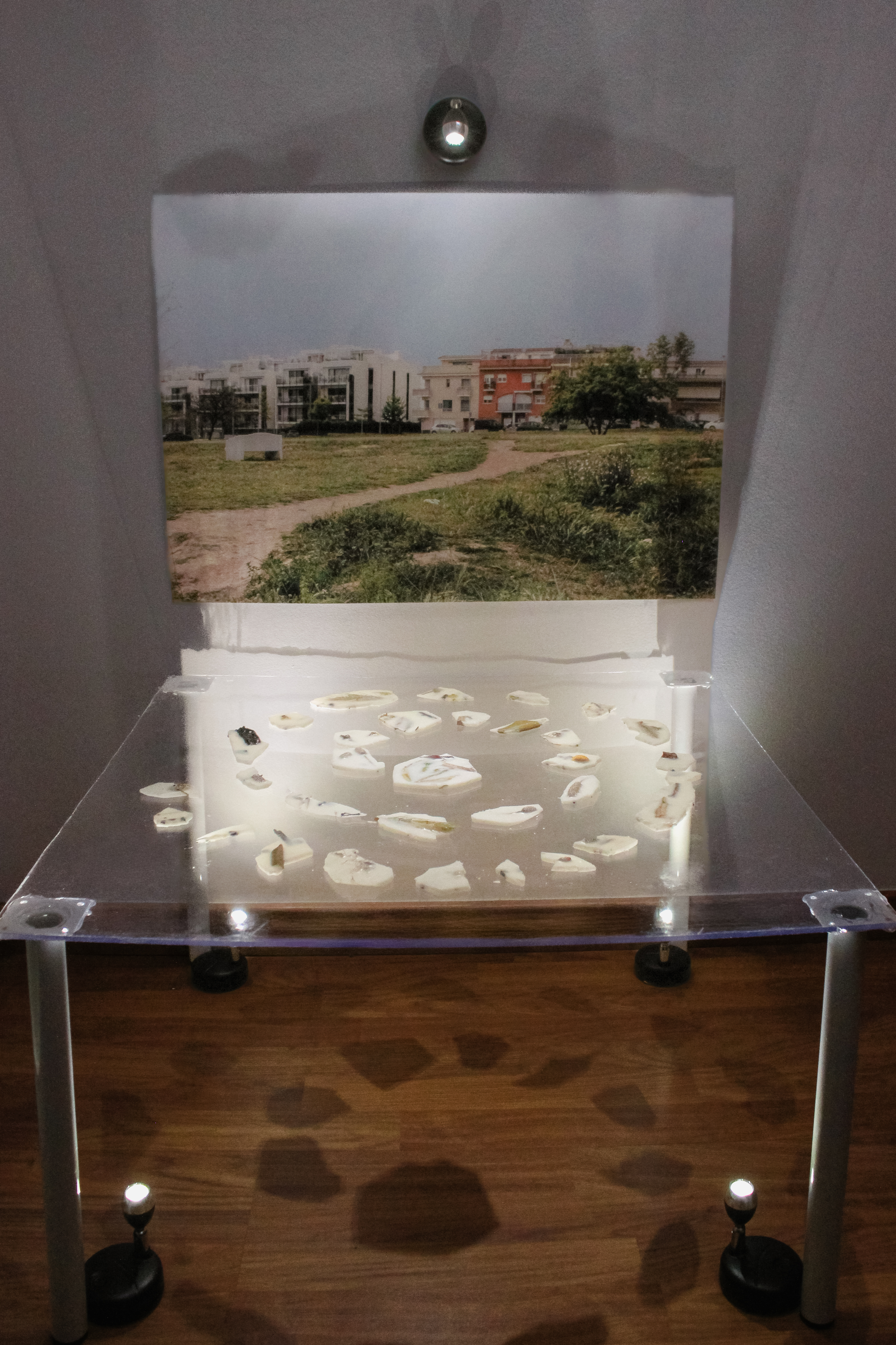 Estudio 1